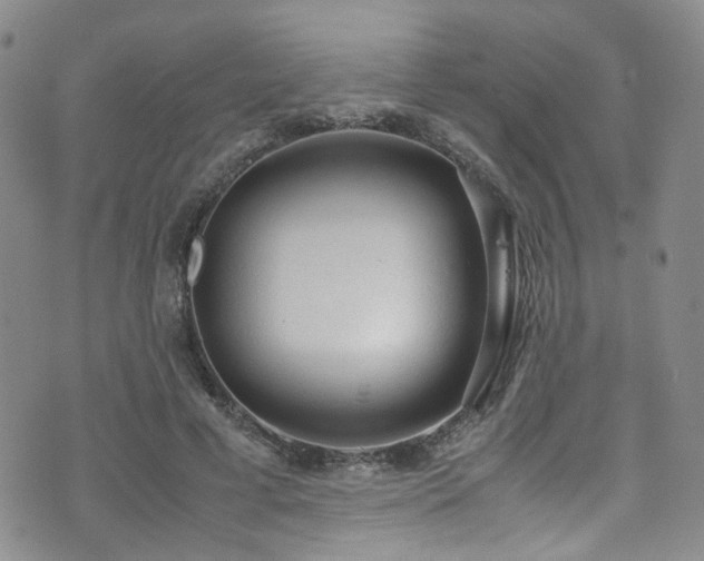 X0000072550593200607141254