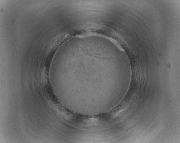 X0000072550594200607141254