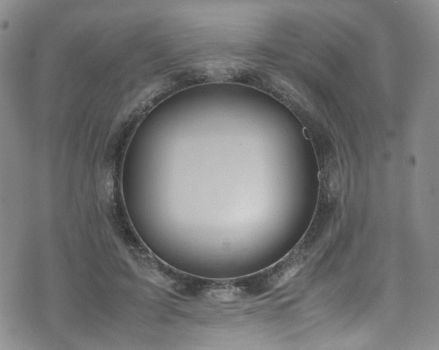 X0000072550595200607141254