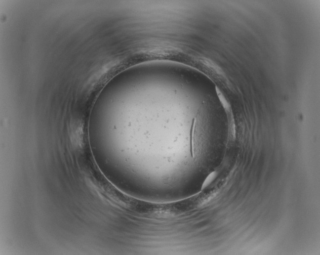 X0000072550596200607141254