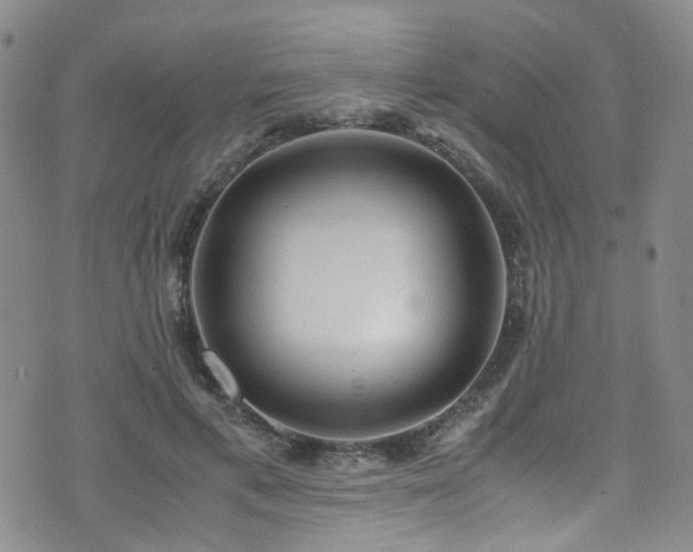 X0000072550597200607141254