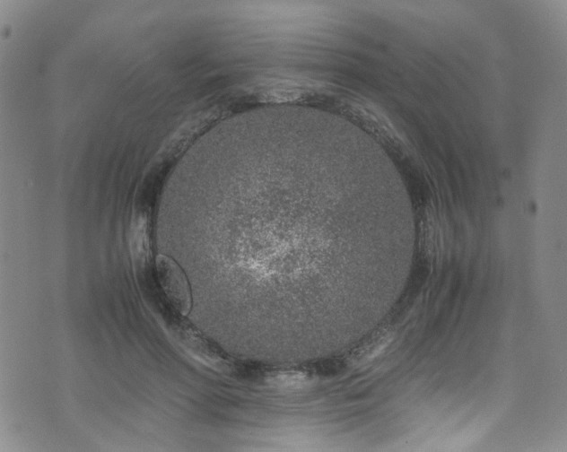 X0000072550598200607141254