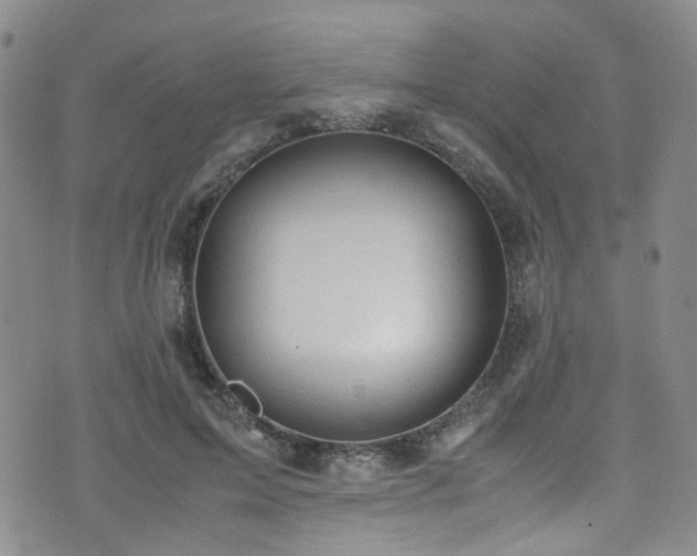 X0000072550599200607141254