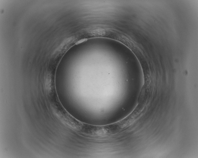 X0000072550600200607141254