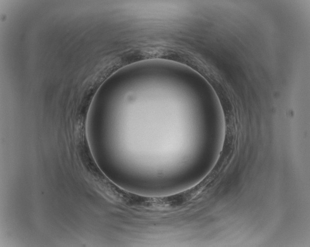 X0000072550601200607141254