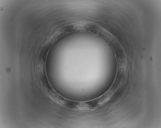 X0000072550603200607141254