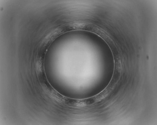 X0000072550604200607141254