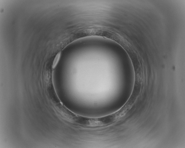 X0000072550605200607141254