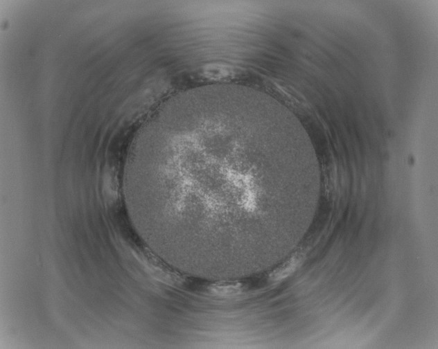 X0000072550606200607141254