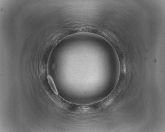 X0000072550607200607141254