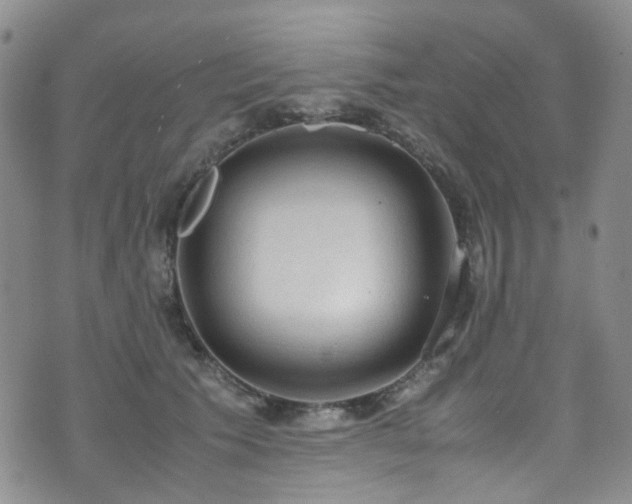 X0000072550609200607141254