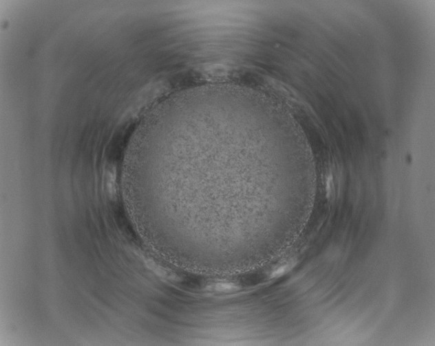 X0000072550610200607141254