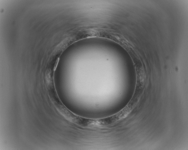 X0000072550611200607141254