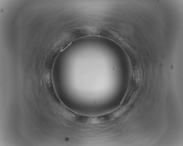 X0000072550613200607141254