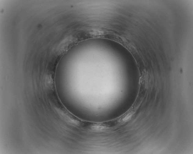 X0000072550614200607141254