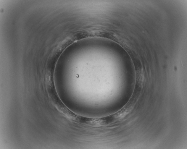 X0000072550615200607141254