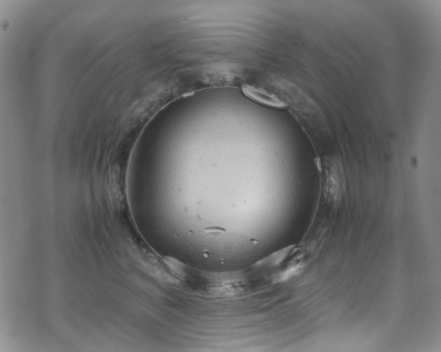 X0000072550616200607141254