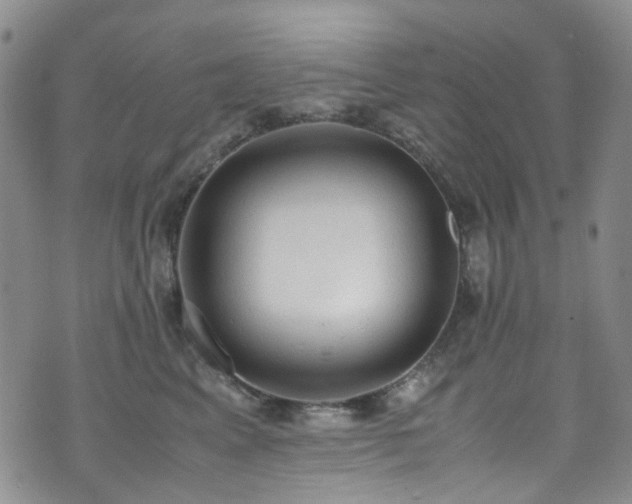 X0000072550617200607141254