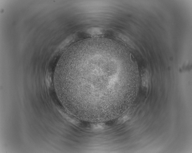 X0000072550618200607141254