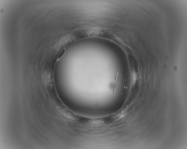 X0000072550619200607141254