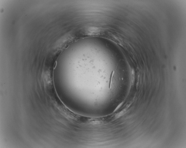 X0000072550620200607141254