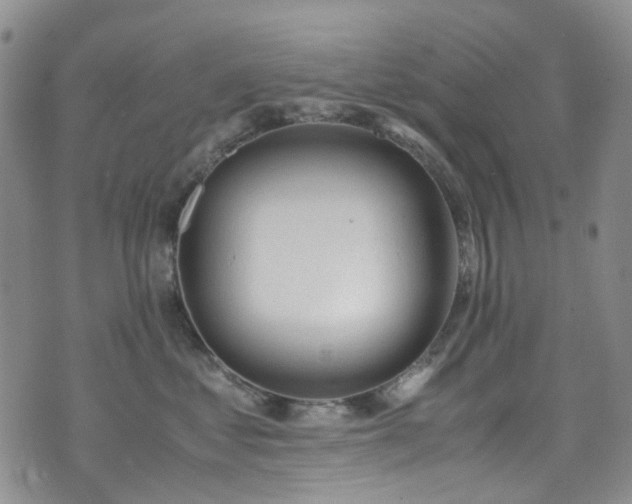 X0000072550621200607141254