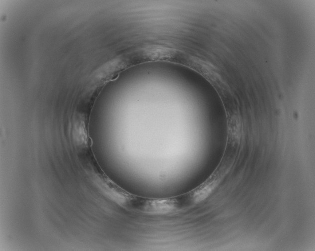 X0000072550622200607141254