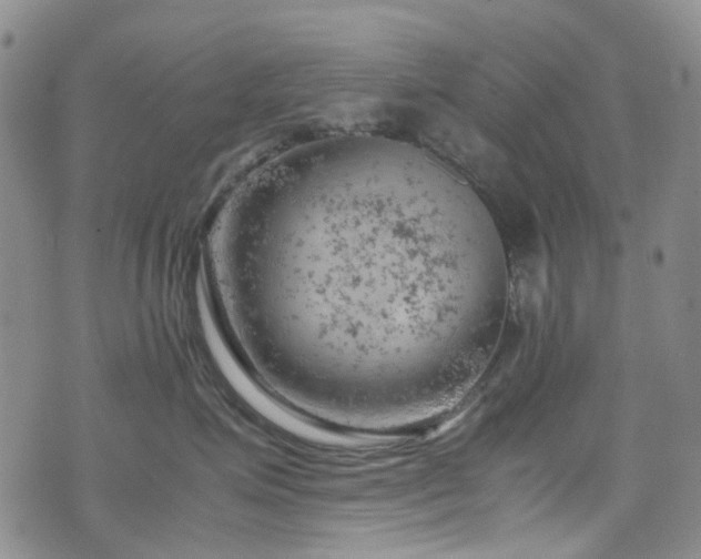 X0000072550623200607141254