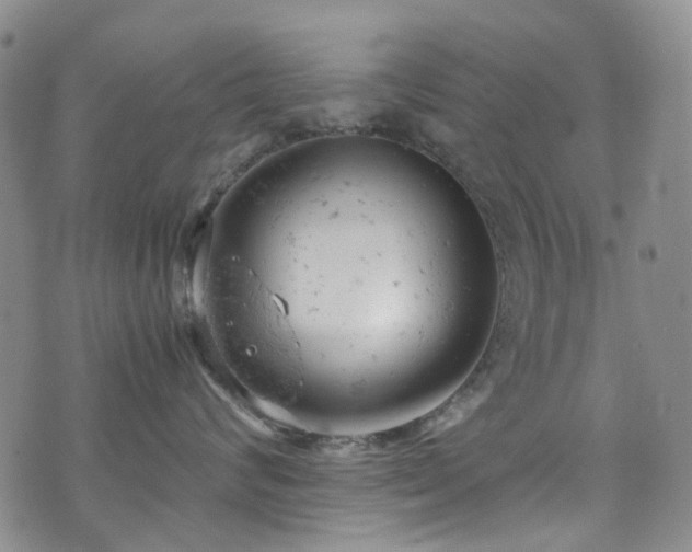 X0000072550624200607141254