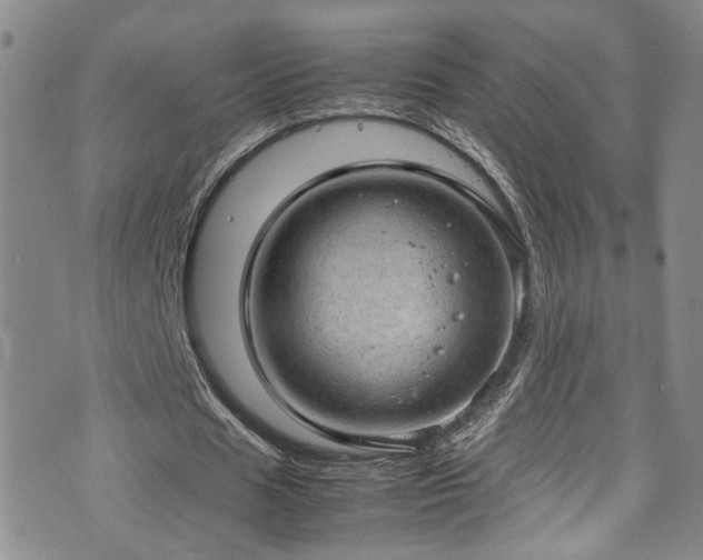 X0000072550625200607141253