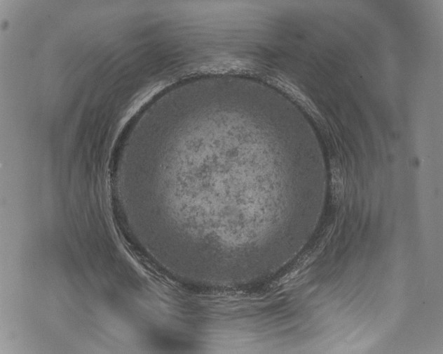 X0000072550626200607141253