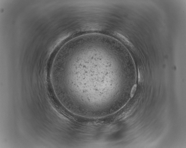 X0000072550627200607141253