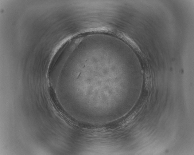 X0000072550628200607141253