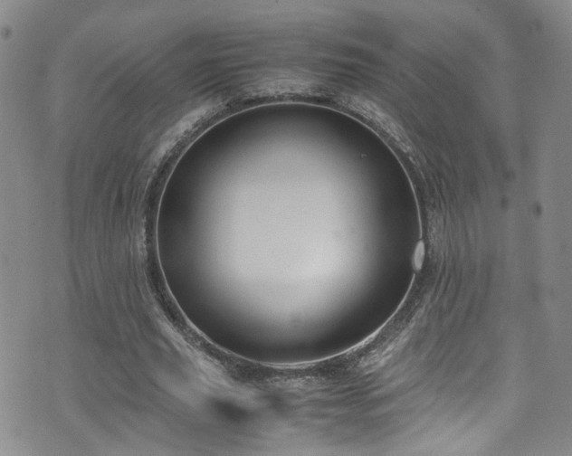 X0000072550629200607141253