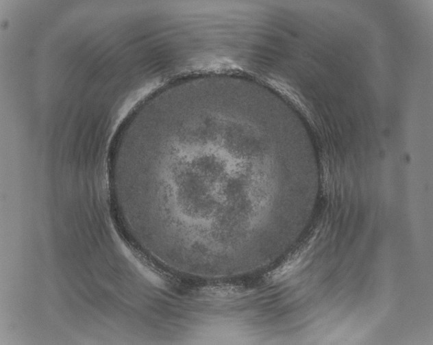 X0000072550630200607141253