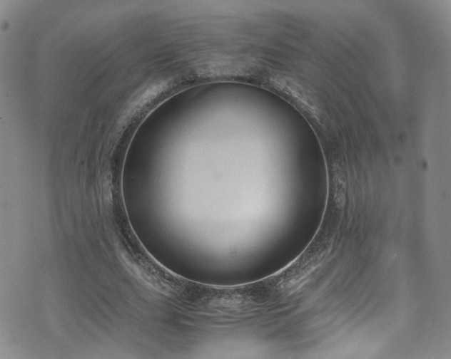 X0000072550631200607141253