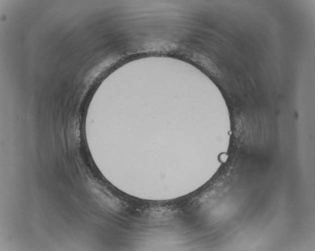 X0000072550632200607141253