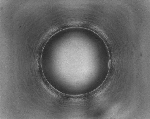 X0000072550633200607141253