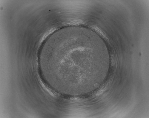 X0000072550634200607141253