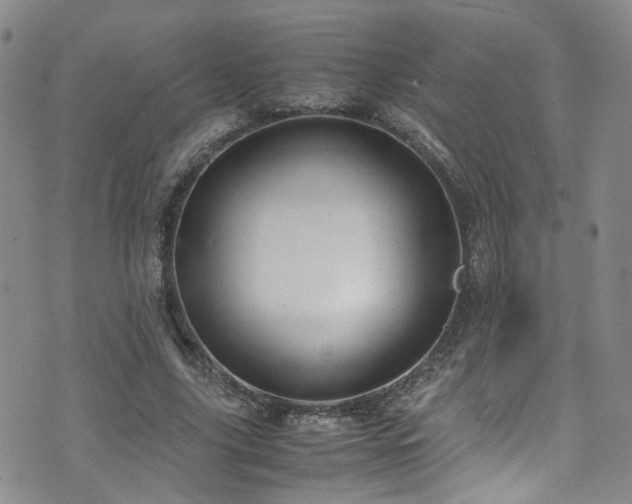 X0000072550635200607141253