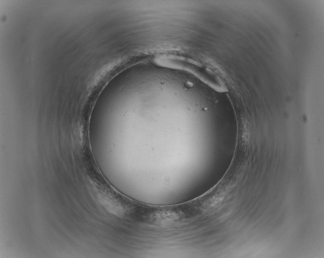 X0000072550636200607141253