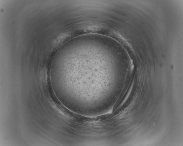 X0000072550637200607141253