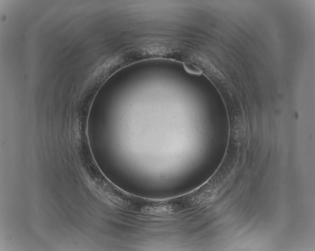 X0000072550639200607141253