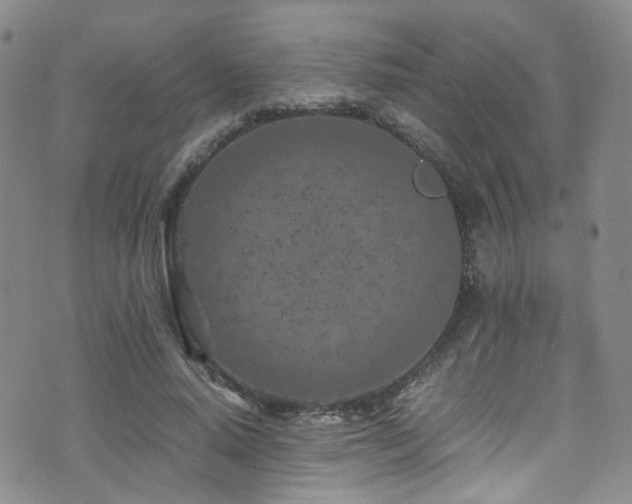 X0000072550640200607141253