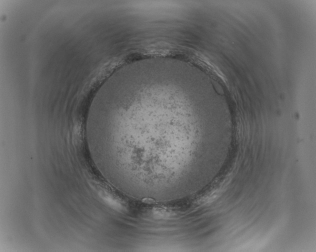 X0000072550641200607141253