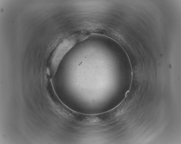 X0000072550642200607141253