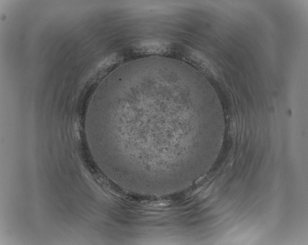 X0000072550643200607141253