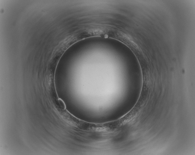 X0000072550645200607141254