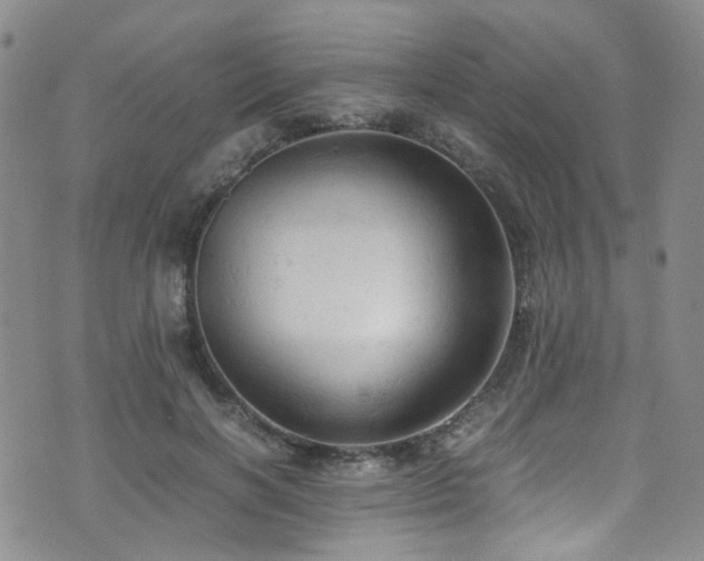 X0000072550646200607141254