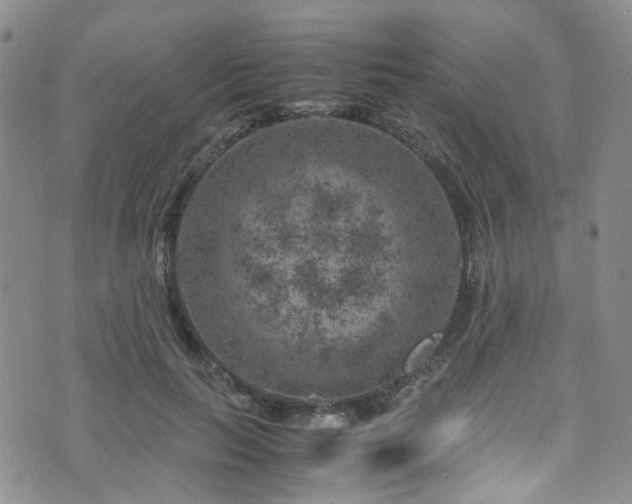 X0000072550647200607141254